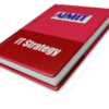 IT Strategy Online Training Course