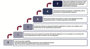 Source: Isaca Capability Level For Processes