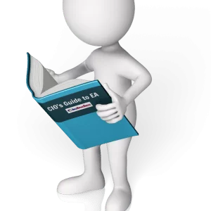 CIO's Guide to Enterprise Architecture