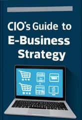 Cio'S Guide To E-Business Strategy