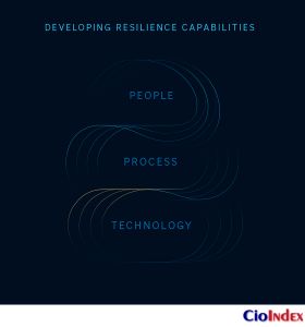 Developing Digital Resilience Capabilities For Successful Digital Transformation: The Architecture Of Endurance 2 Developing Resilience Capabilities - Featured Image